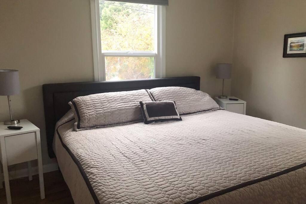 Cozy Crown Hill Carkeek Cottage W/3 Beds, Full Kitchen & Backyard In North Seattle Zewnętrze zdjęcie